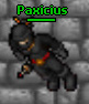 Paxicius's Avatar
