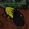 SarutobiAsuma's Avatar