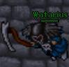 Avatar Watariuss