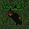 Avatar Magik Rozko