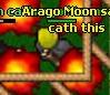 Avatar Arago Moon