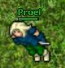 Pruel's Avatar