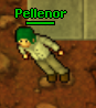 Pellenor's Avatar