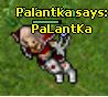 Avatar Palantka