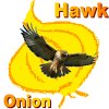 Onionhawk's Avatar