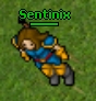 Sentinix's Avatar