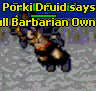 Porkidrucik's Avatar