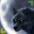 Dyzio19's Avatar