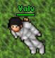 Avatar Valv