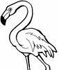 Flamingoe's Avatar