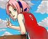 Sakura's Avatar