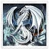PyCh's Avatar