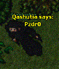 Qashutia's Avatar