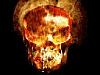 Merel's Avatar