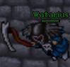 Watariuss