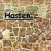 Hassen's Avatar