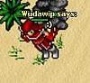 Wudawip's Avatar