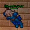 Bloodraver's Avatar