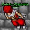 Palek-Ziomalek's Avatar