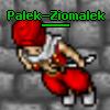 Avatar Palek-Ziomalek