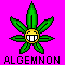 Avatar Algemnon1989