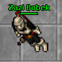 zazi-bobek's Avatar