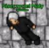 Niszczyciell's Avatar