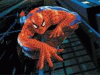 Voyo's Avatar