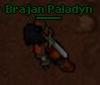 bRAJAnPaladyn's Avatar