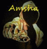 amsha's Avatar