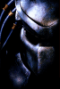 ndm87's Avatar