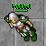 Mallosi's Avatar