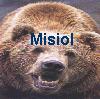 Misiol's Avatar