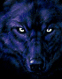 Druid Pancernik's Avatar