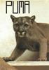 Puma's Avatar