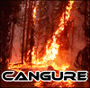 Cangure's Avatar