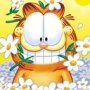 NeStO's Avatar