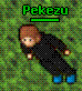 Pekezu's Avatar