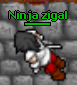 Ninja zigal's Avatar