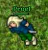 Pruel's Avatar