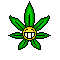 Rybast's Avatar