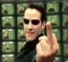 Brunonik's Avatar