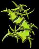 Fiddlehead's Avatar