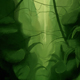 Dark_Wolf's Avatar