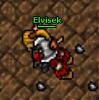 Elvisek's Avatar