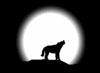 Solera Najt's Avatar