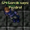 Gorcik's Avatar